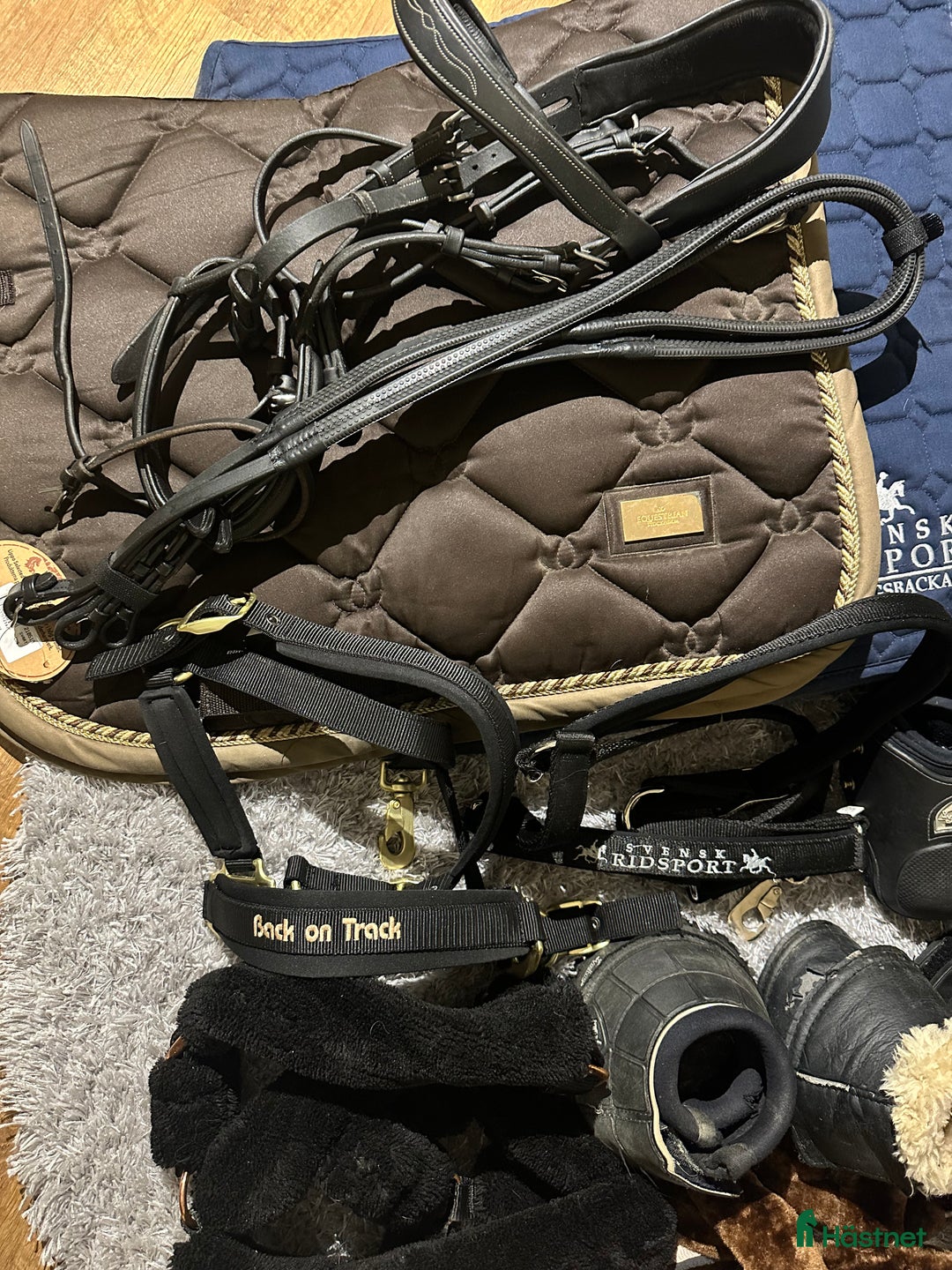 Övrig Hästutrustning hästutrustning till salu: Diverse hästutrustning i Uddevalla - Annons 2