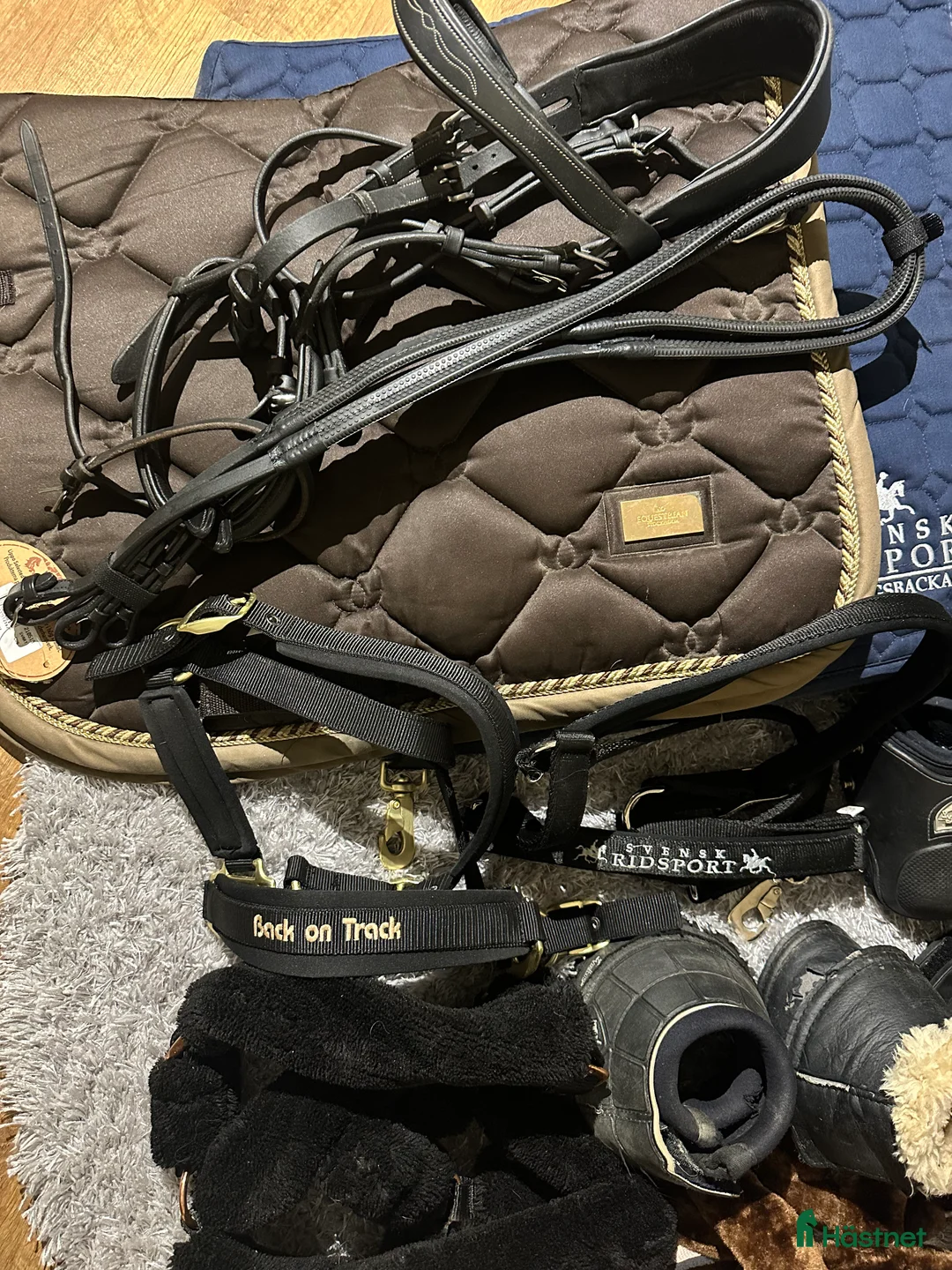 Övrig Hästutrustning hästutrustning till salu: Diverse hästutrustning i Uddevalla - Annons 2