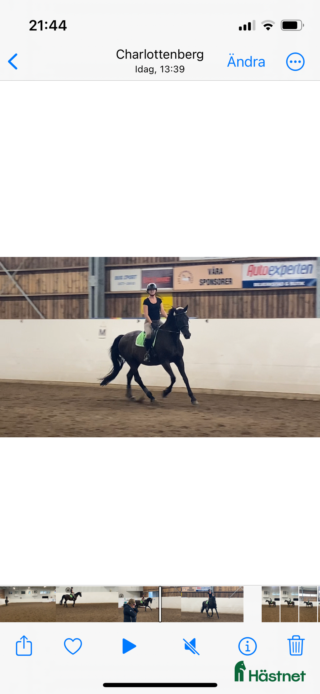  medryttarhäst finnes: Betalande medryttare/delfodervärd sökes i Bålsta - Annons 2