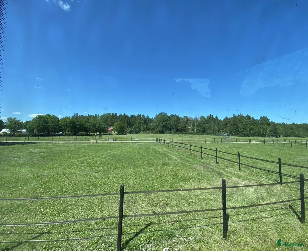  stallplats finnes: Lediga stallplatser i Mariefred - Annons 2