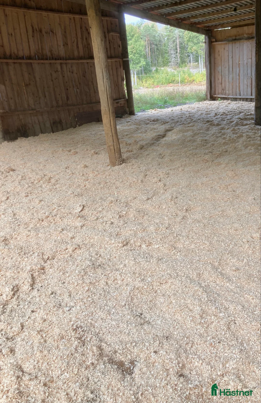  stallplats finnes: Lösdrift för sto i södra Stockholm  i Grödinge - Annons 4