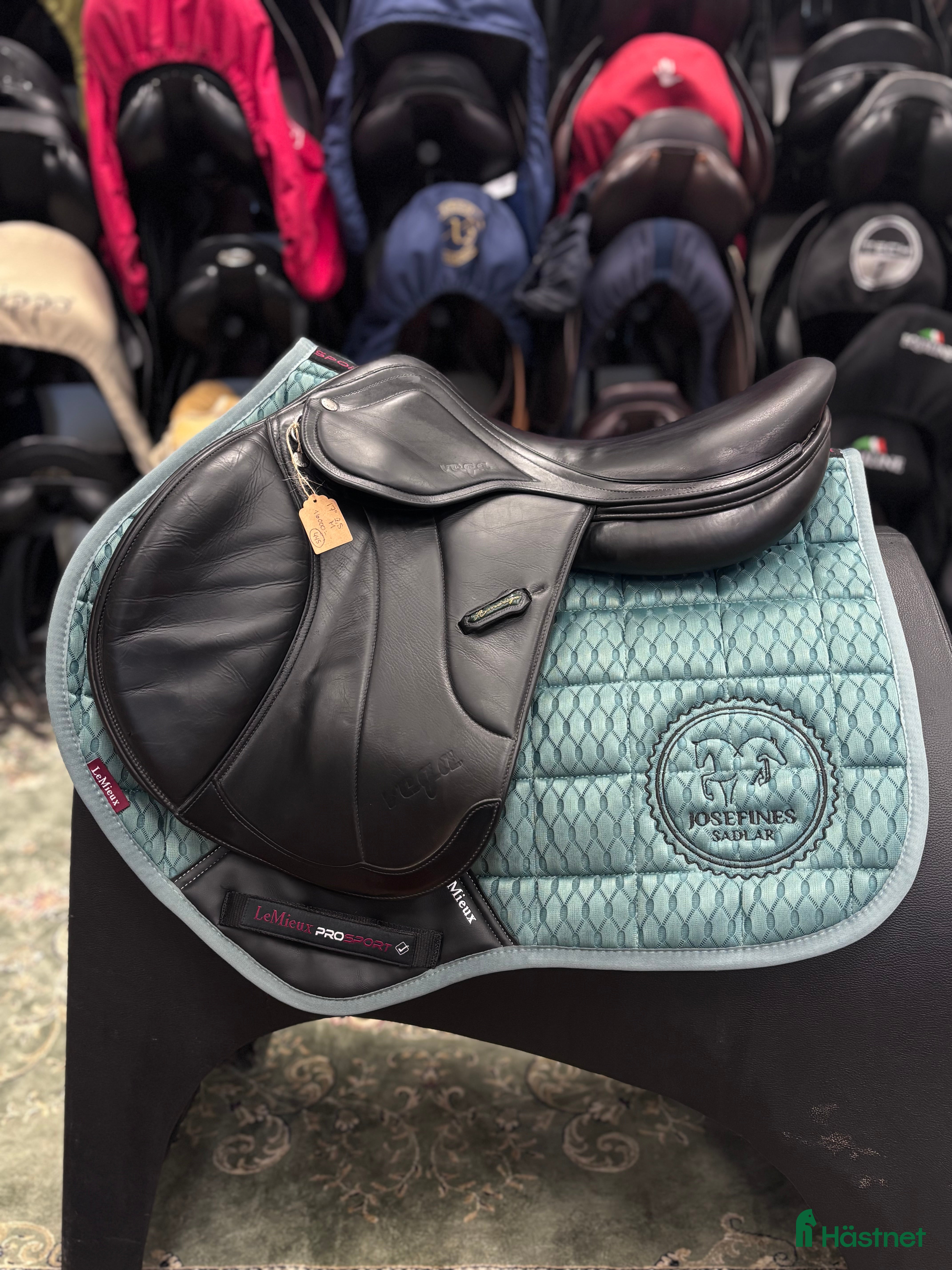 Sadlar hästutrustning Amerigo Vega ✨ - Annons 1