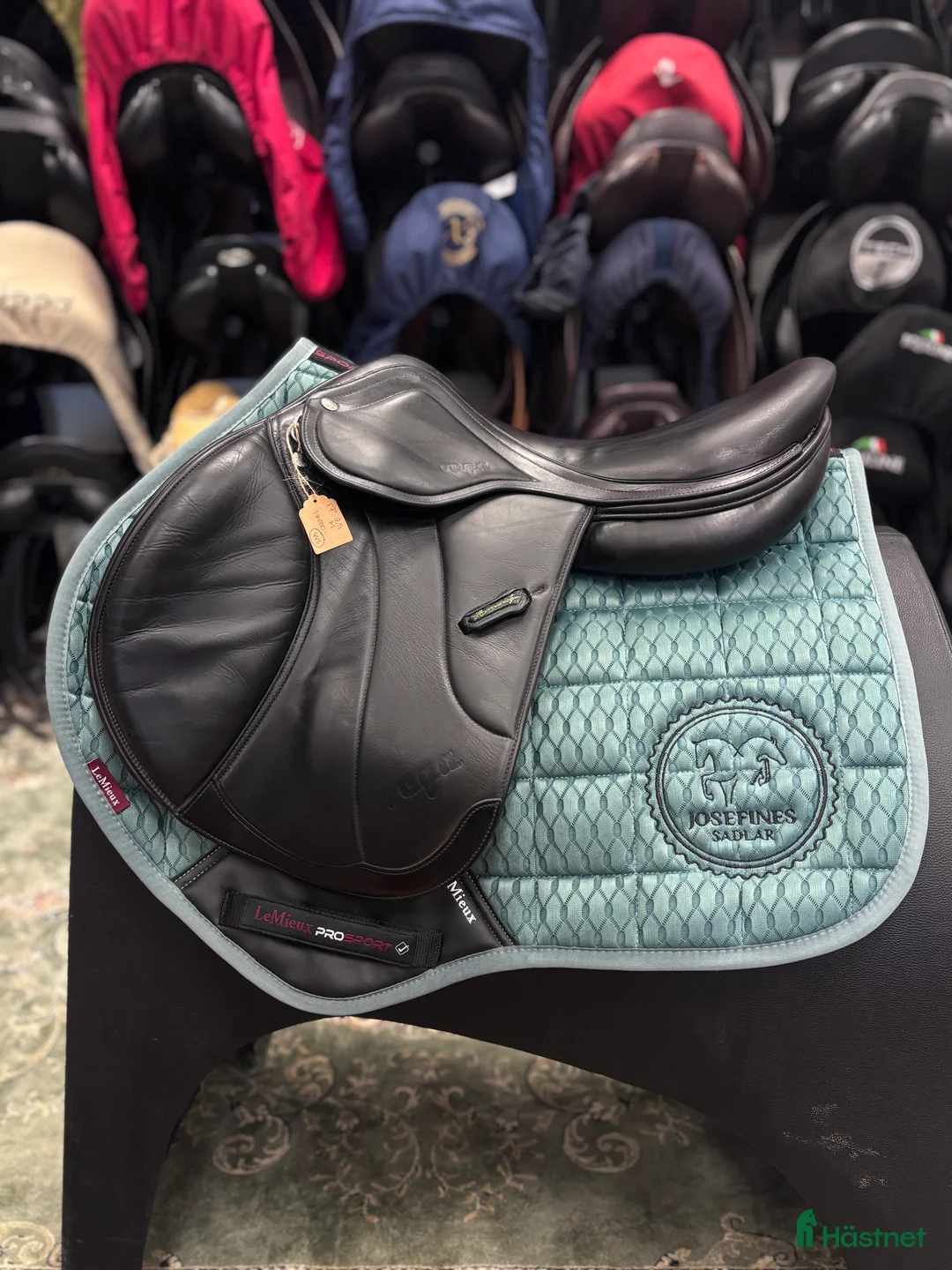 Sadlar hästutrustning till salu: Amerigo Vega ✨ - Annons 1