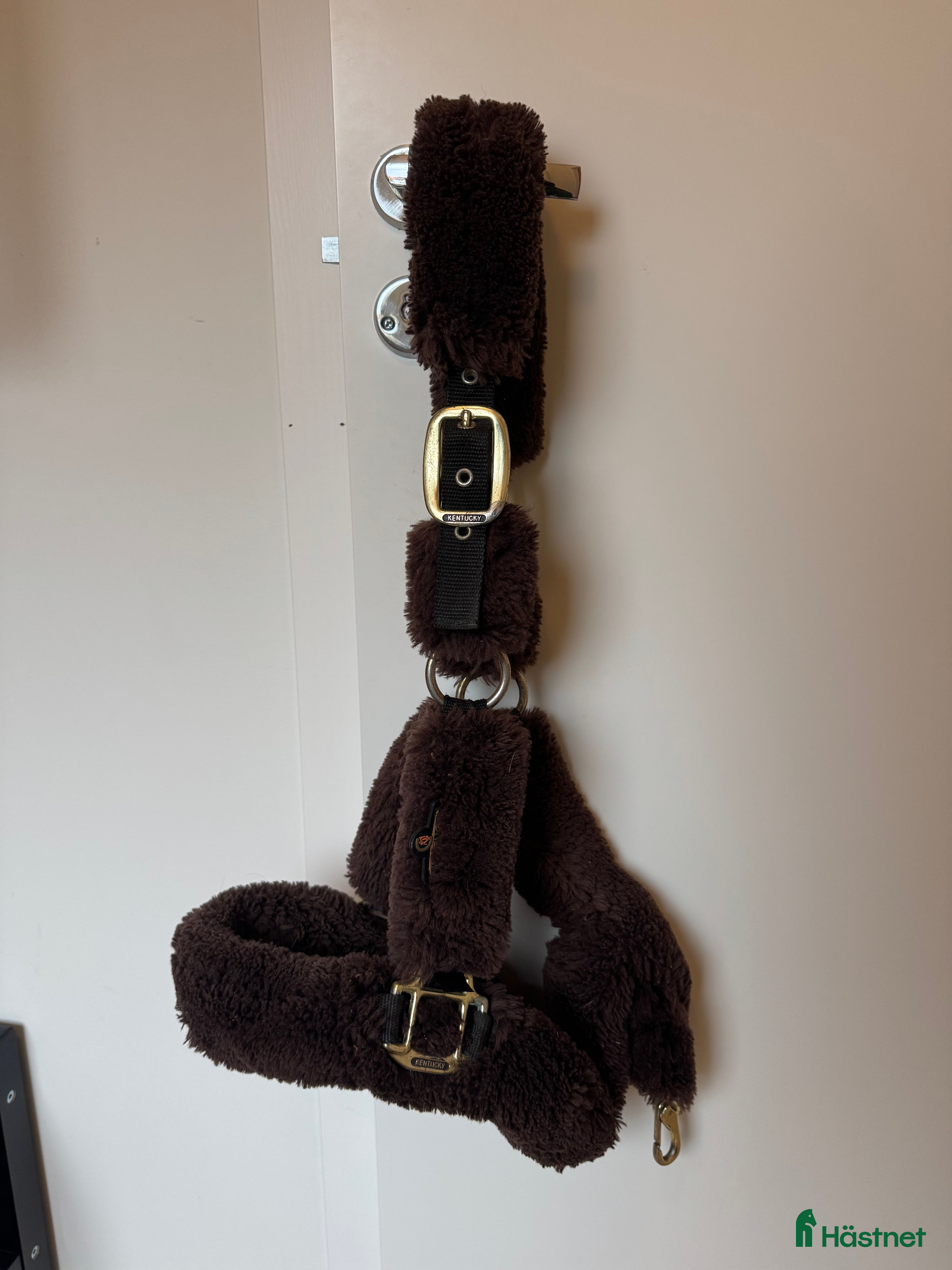 Övrig Hästutrustning hästutrustning till salu: Kentucky grimma  i Umeå - Annons 5