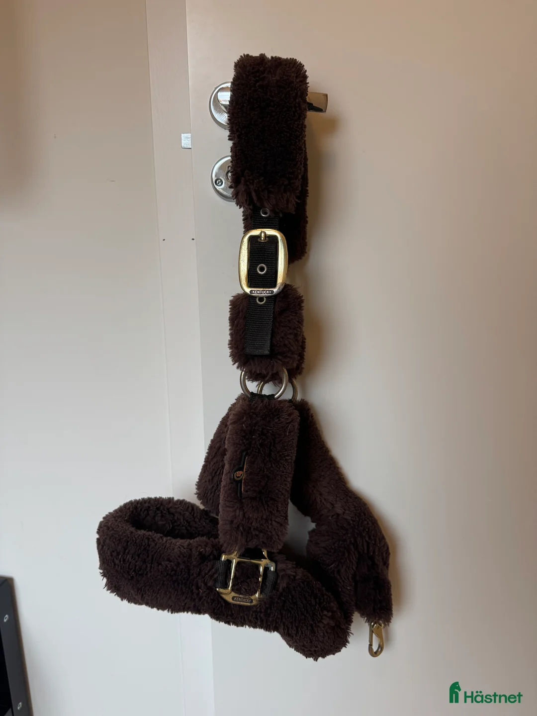 Övrig Hästutrustning hästutrustning till salu: Kentucky grimma  i Umeå - Annons 1