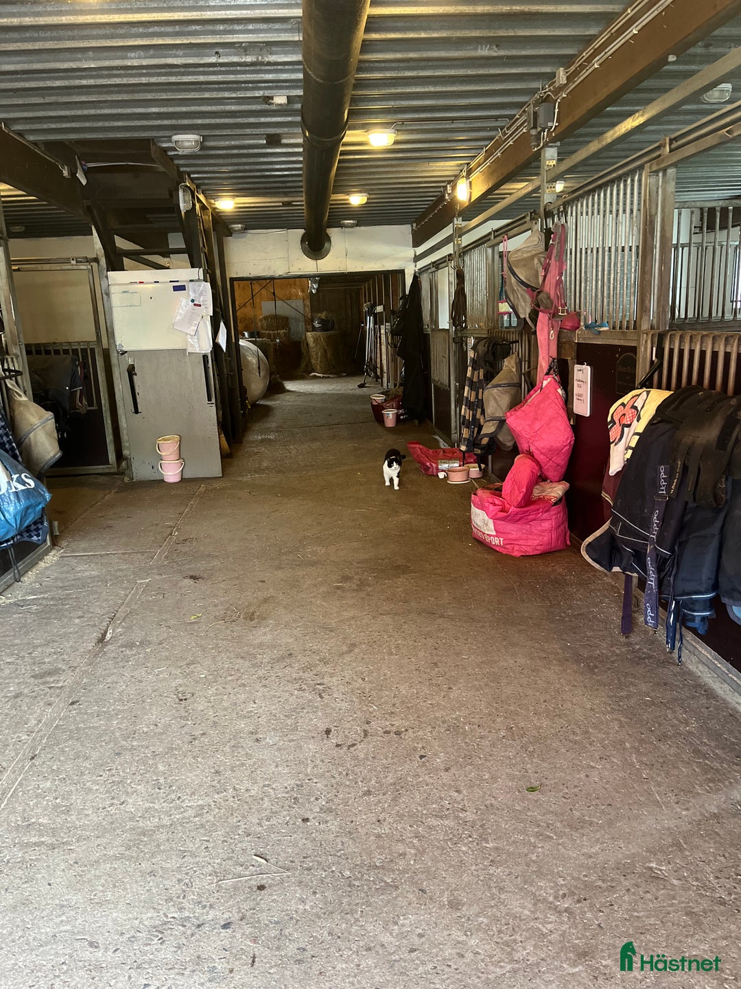  stallplats finnes: Boxplatser lediga på Halleröd Gård i Kungälv - Annons 5