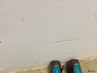 Benskydd hästutrustning till salu: EQuick benskydd⭐️ i Bjärred - Annons 15