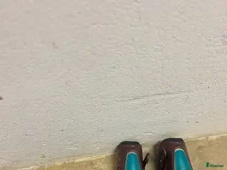 Benskydd hästutrustning EQuick benskydd⭐️ i Bjärred - Annons 2