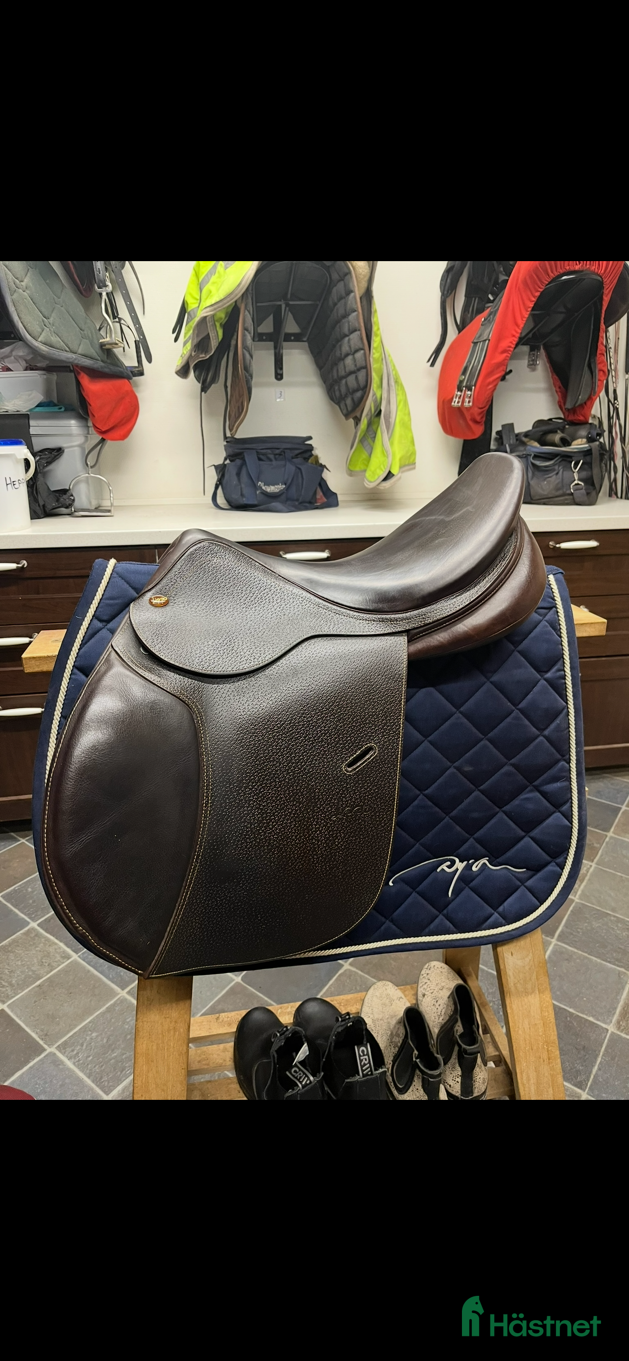 Sadlar hästutrustning Lippo Enzo 2021 - Annons 5