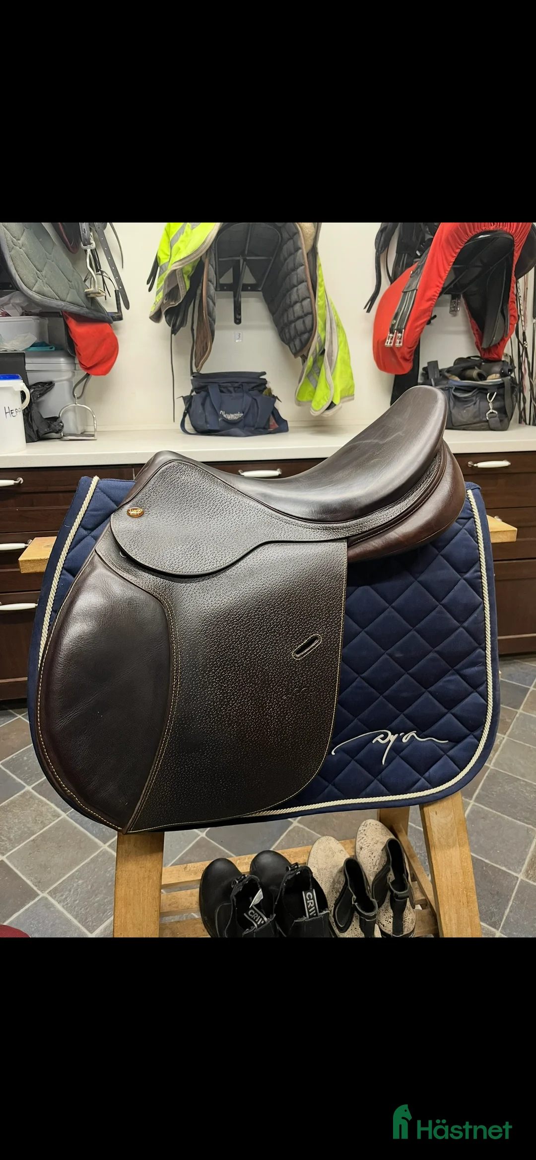 Sadlar hästutrustning till salu: Lippo Enzo 2021 - Annons 1