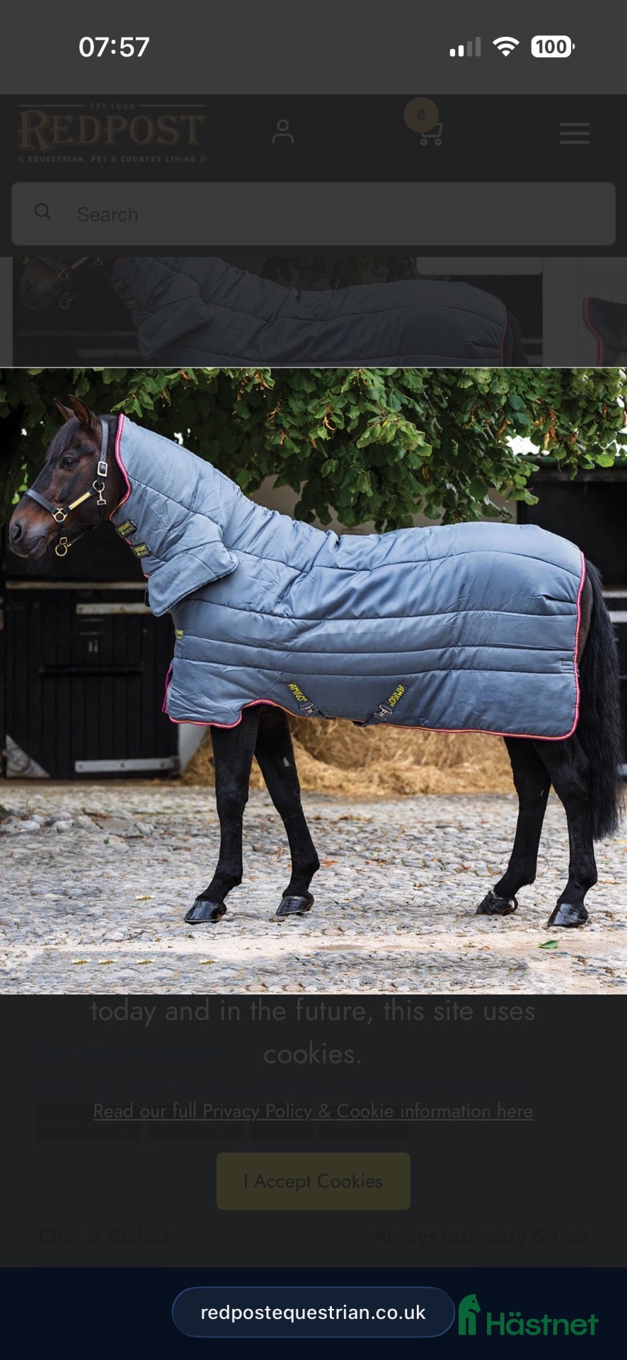Täcken hästutrustning Horseware Amigo stalltäcke - Annons 3