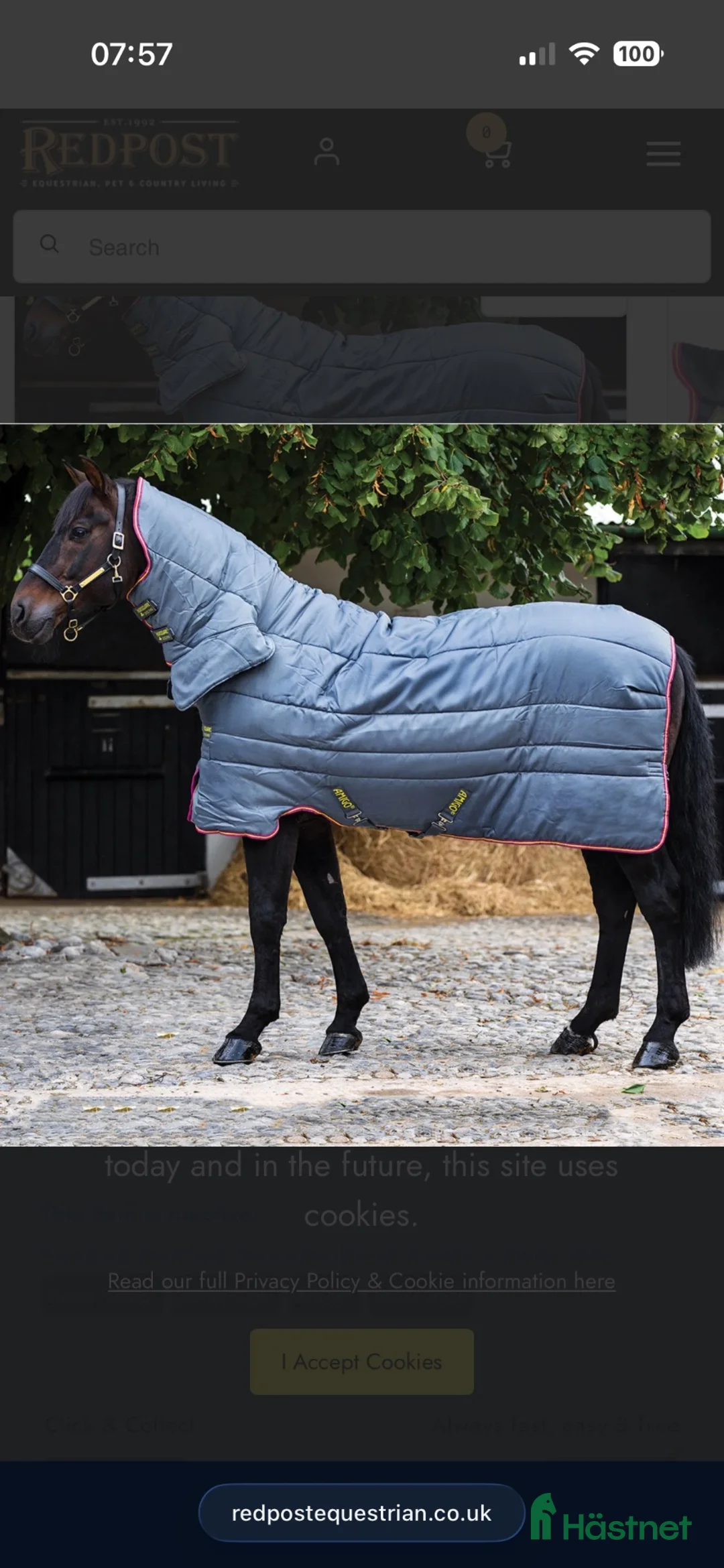Täcken hästutrustning till salu: Horseware Amigo stalltäcke - Annons 1