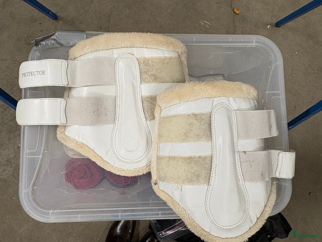 Benskydd hästutrustning till salu: Vita benskydd med ludd, M och L i Täby - Annons 2