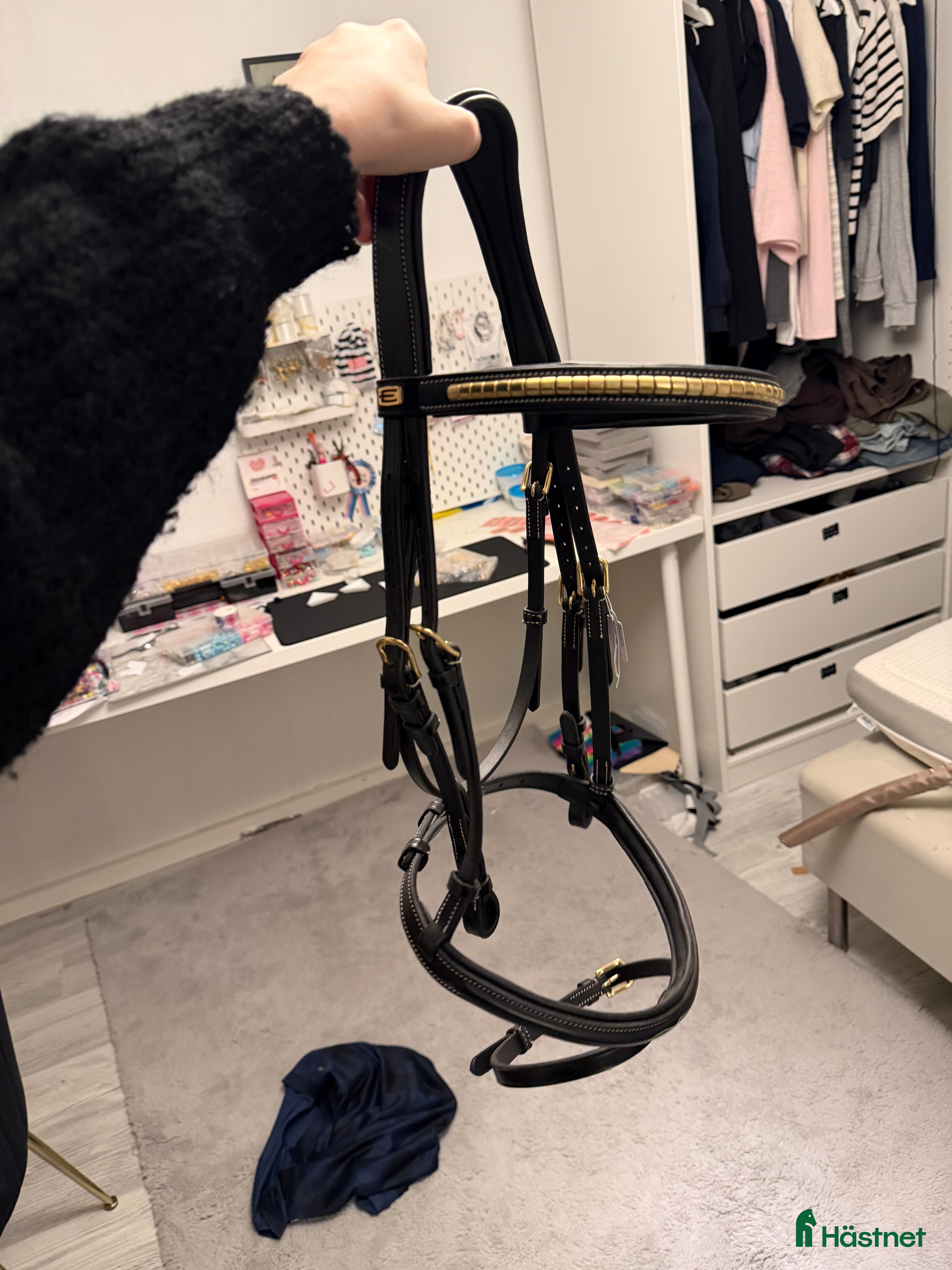 Träns hästutrustning till salu: Thamar träns FYND i Västerås - Annons 23