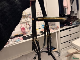 Träns hästutrustning till salu: Thamar träns FYND i Västerås - Annons 12