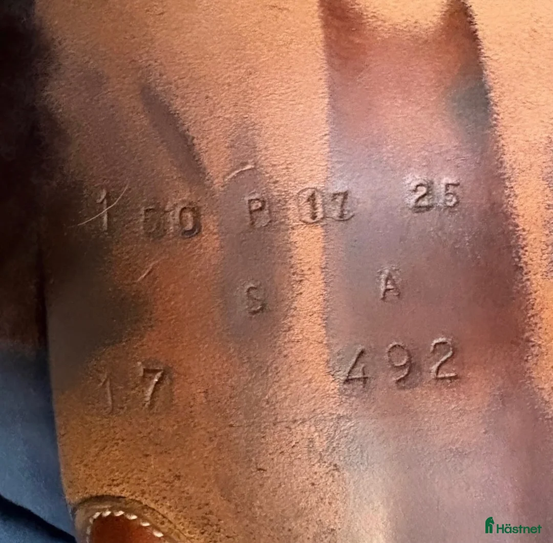 Sadlar hästutrustning till salu: Butet - Annons 2