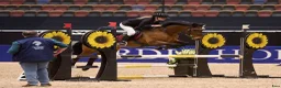 Allround hästar till salu: Ponnyn med hjärtat av guld❤️‍🔥 i Kilafors - Annons 3
