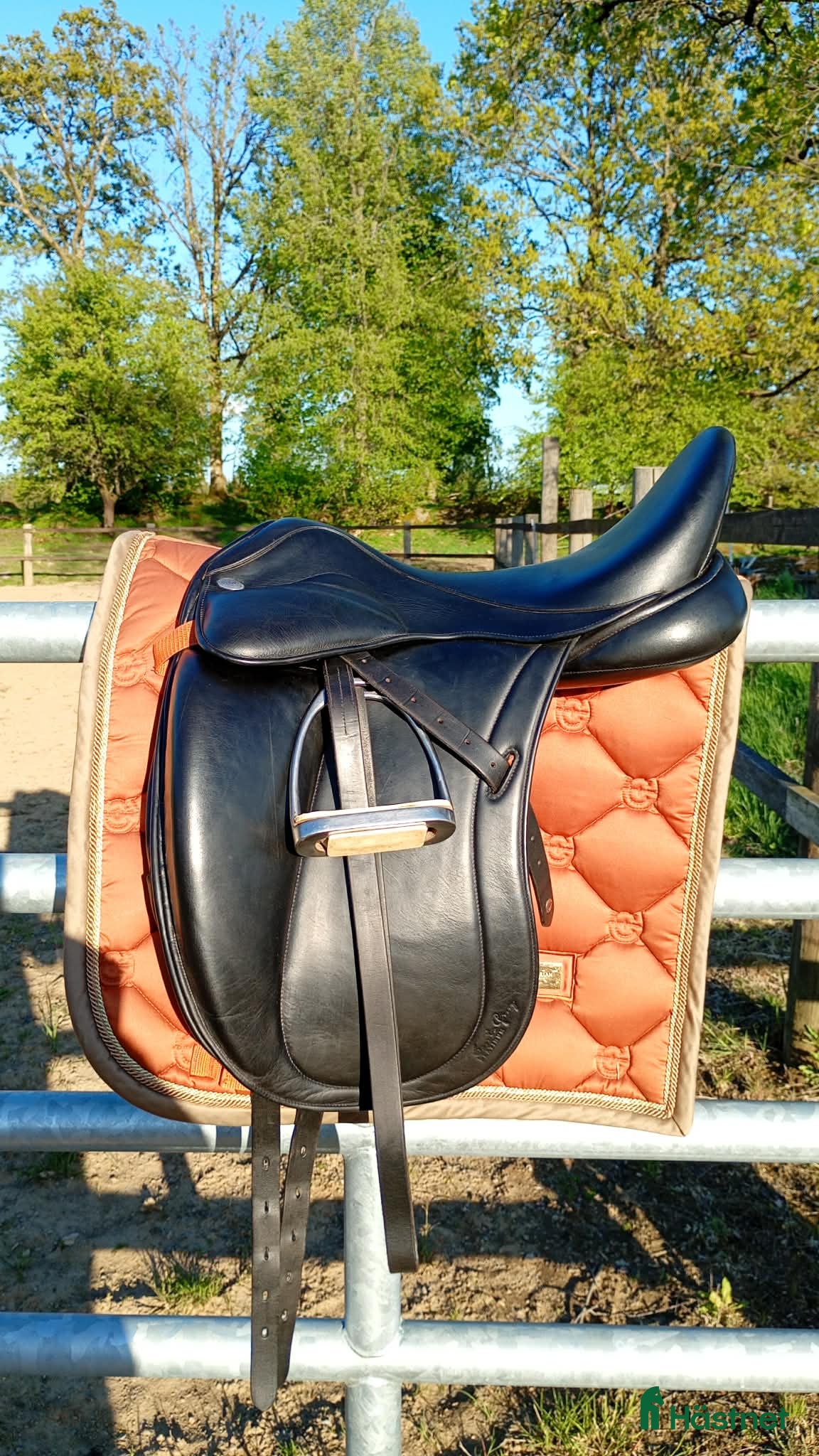 Sadlar hästutrustning Santa Cruz Platinum Leopold  - Annons 1