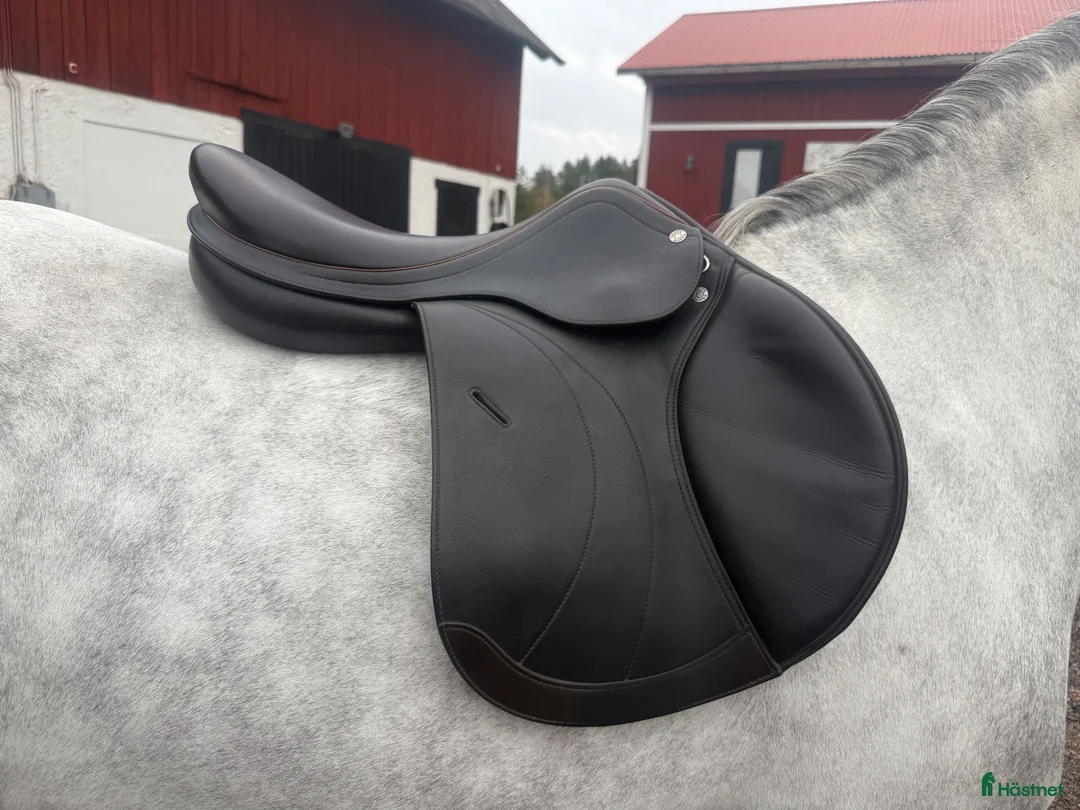 Sadlar hästutrustning till salu: Equipe Expression  - Annons 2