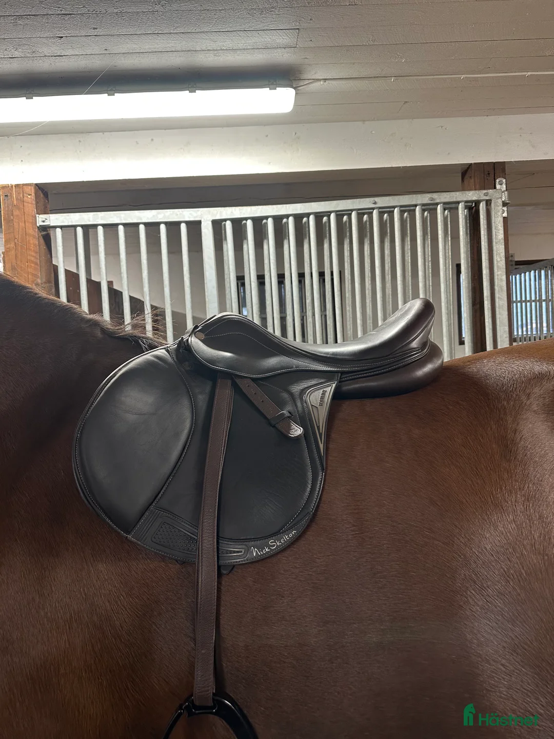 Sadlar hästutrustning till salu: Equiline 17’ - Annons 3