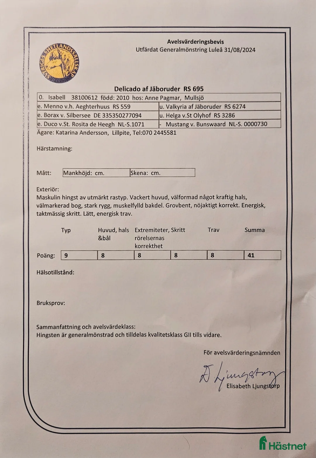 Avelshästar hästar till salu: Delicado Af Jäboruder RS 695 i Lillpite - Annons 3
