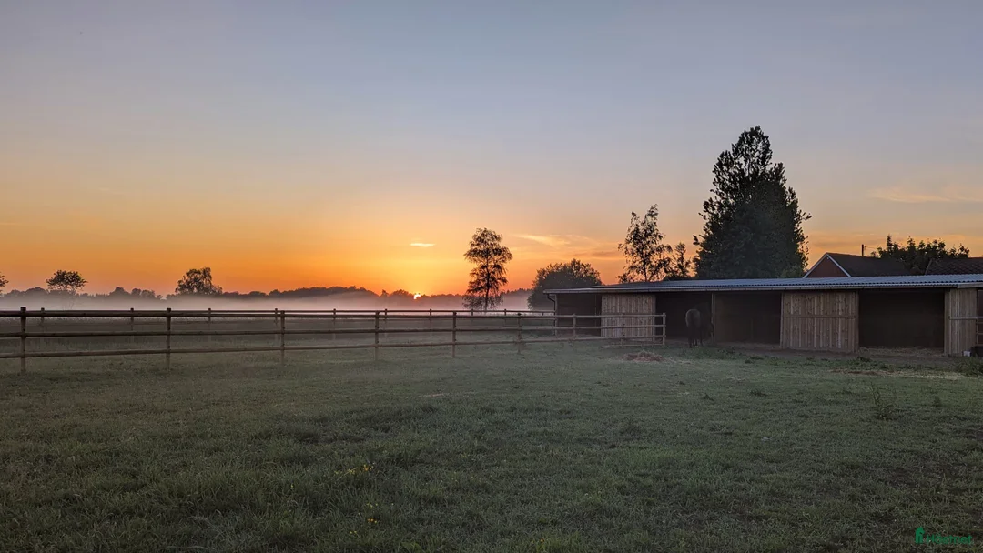  stallplats finnes: 1 ledig plats på underbar lösdrift  i Hörby - Annons 32