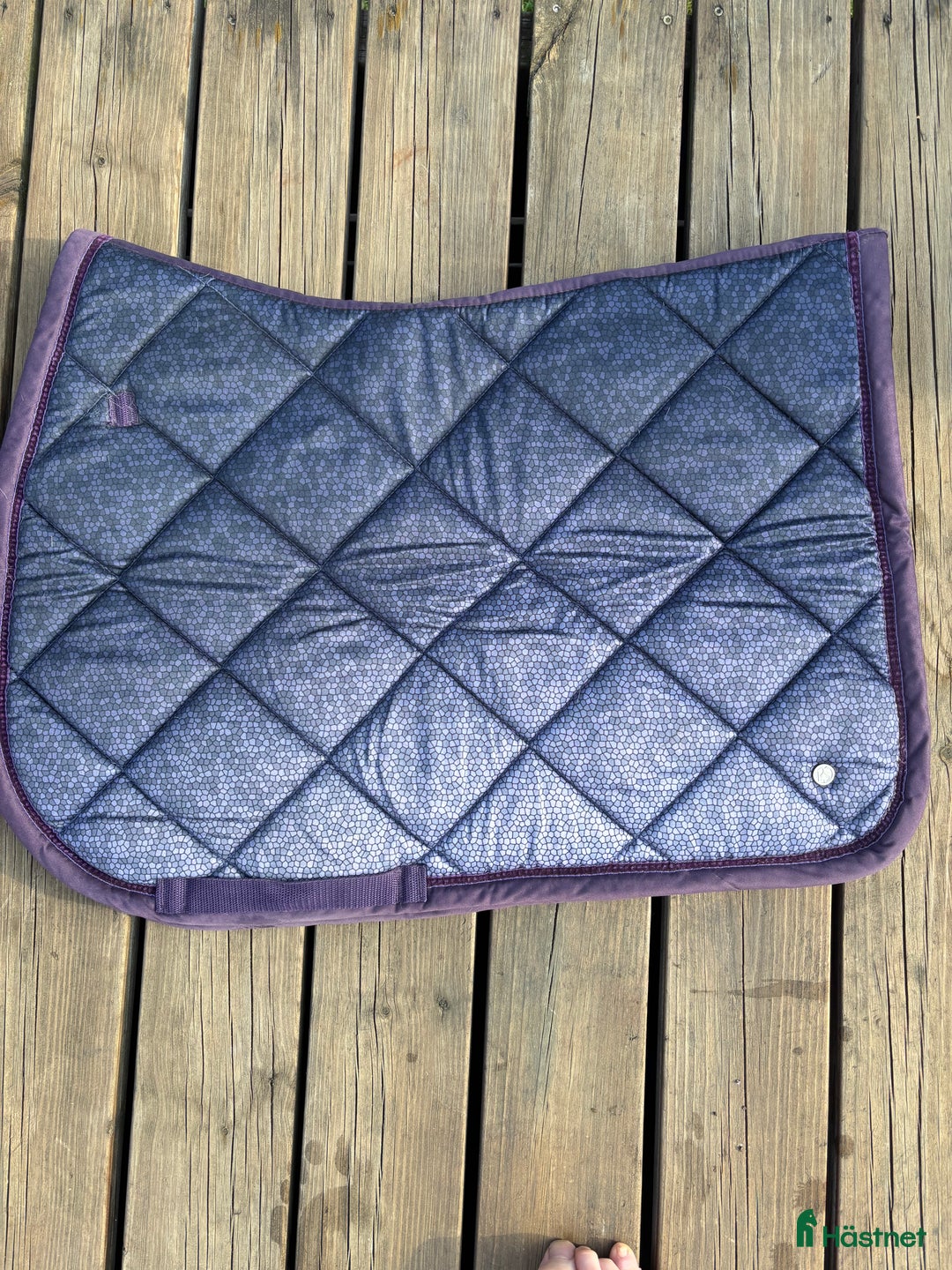 Schabrak & Vojlockar hästutrustning till salu: Hoppschabrak PS of Sweden i Asarum - Annons 1