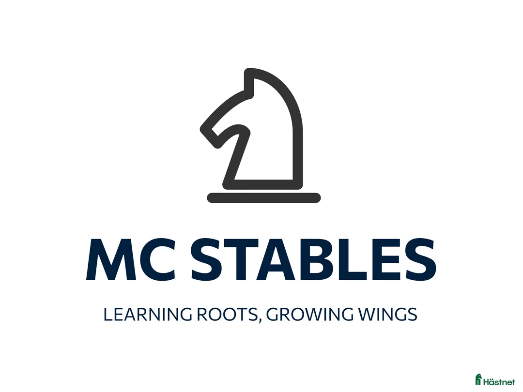 Galleribild {{count}}