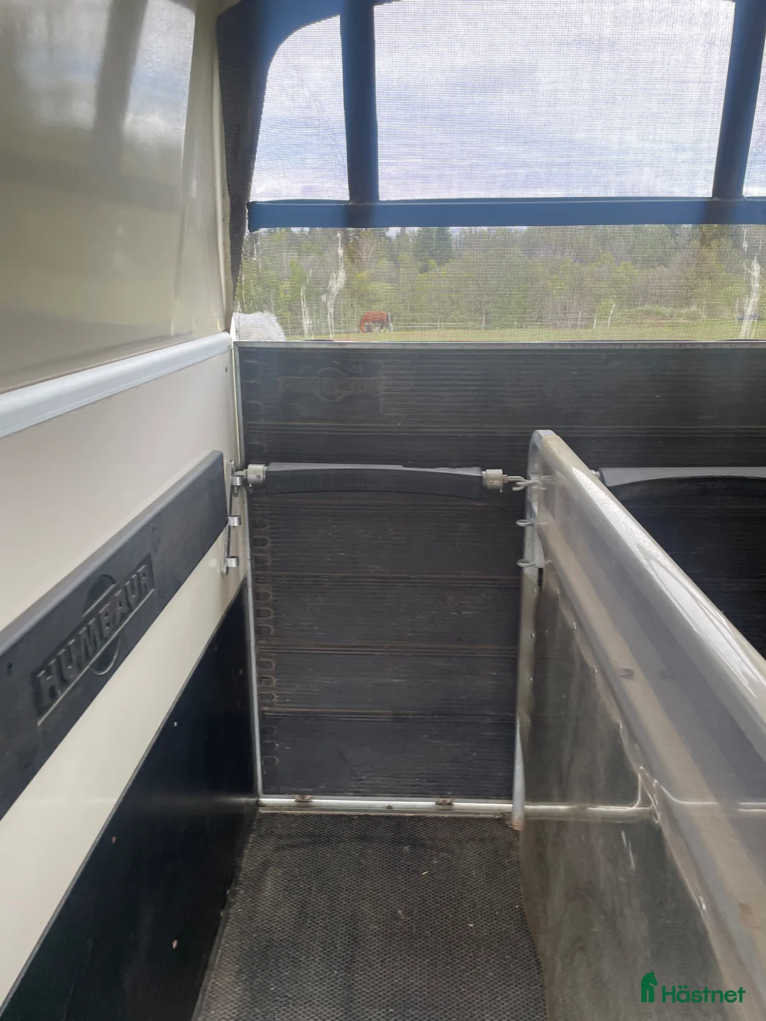 Hästtransporter  fordon & transport till salu: Humbaur Zephir Aero - Annons 2
