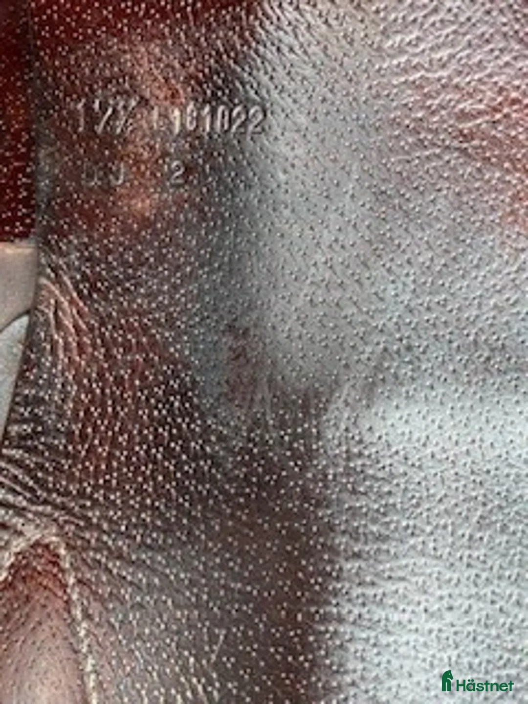 Sadlar hästutrustning till salu: Amerigo DJ hopp  i Åkersberga - Annons 6