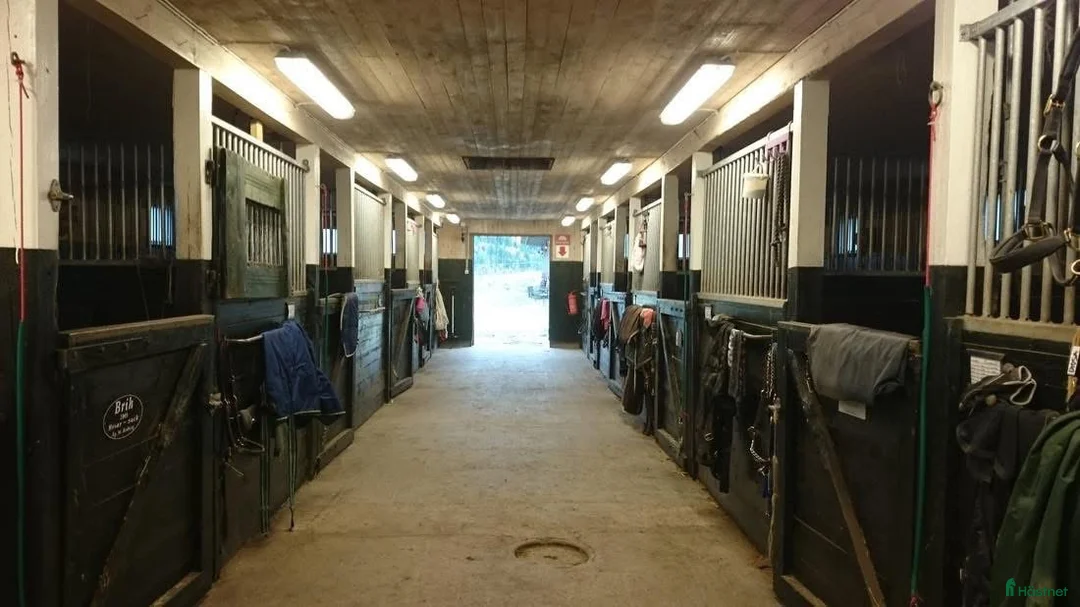  stallplats finnes: Boxplats fullservice, Vaxholm - Annons 2
