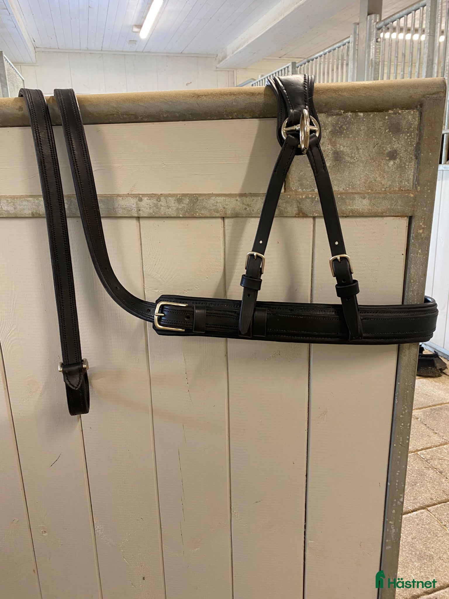 Körselar körning till salu: Brösta med draglinor - ponny - Annons 2