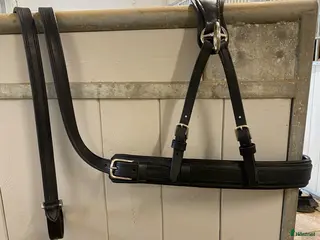 Körselar körning till salu: Brösta med draglinor - ponny - Annons 2