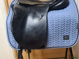 Sadlar hästutrustning Passier Optimum i Hamneda - Annons 7