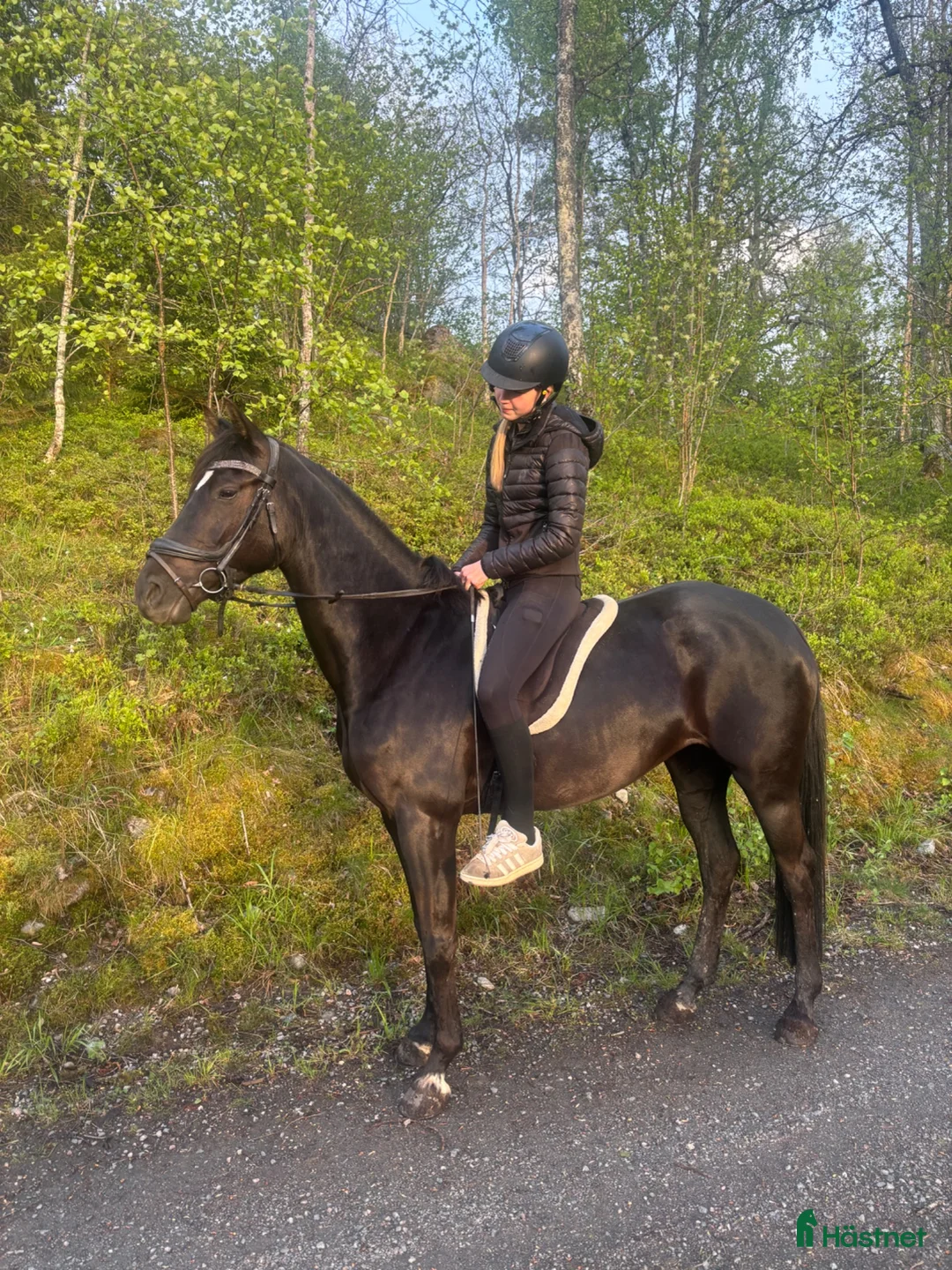  medryttarhäst finnes: Betalande medryttare sökes till D-ponny - Annons 1