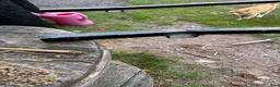 Körvagnar körning till salu: Vagn  - Annons 8