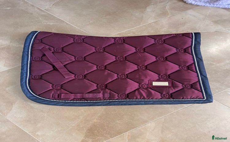 Schabrak & Vojlockar hästutrustning till salu i Ingarö - Annons 11