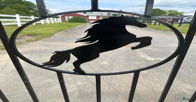  stallplats i Knivsta - Annons 6