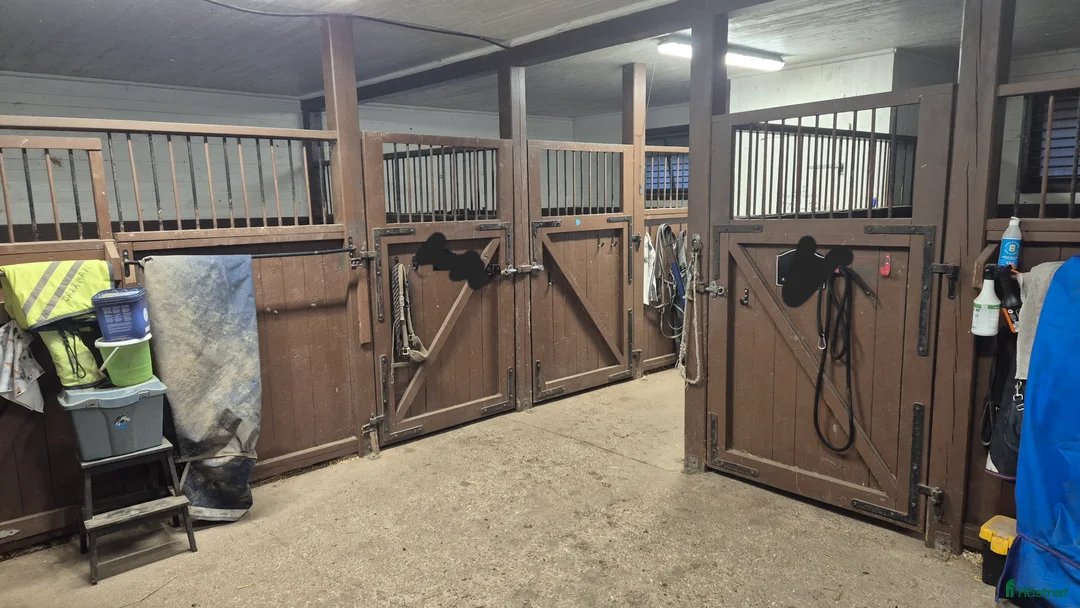  stallplats finnes: Boxplats i litet mysigt stall i Vårsta  - Annons 4