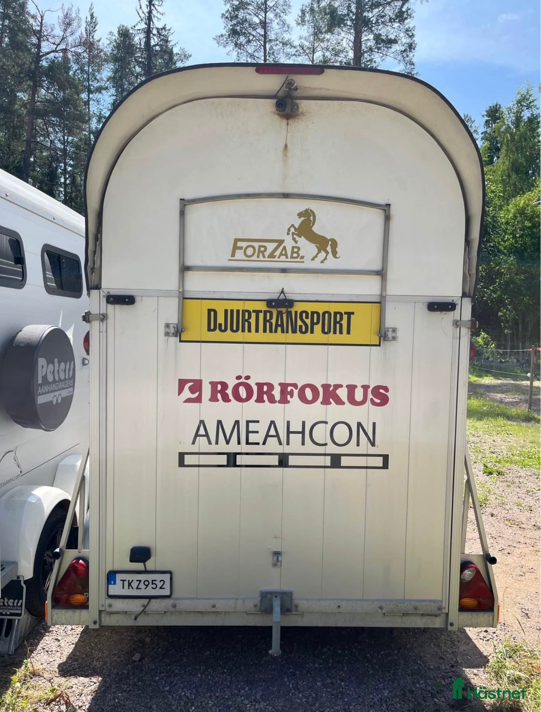 Hästtransporter  fordon & transport till salu: Forzab Cavallo SEH i Valbo - Annons 5