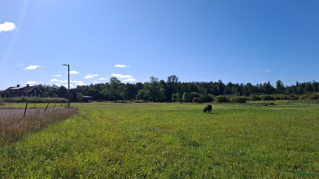  stallplats finnes: Lösdrift där hästar får vara hästar. i Tjällmo - Annons 2
