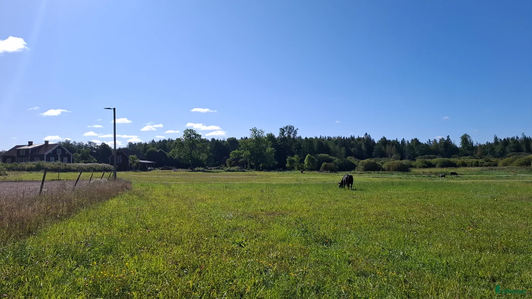  stallplats finnes: Lösdrift där hästar får vara hästar. i Tjällmo - Annons 2