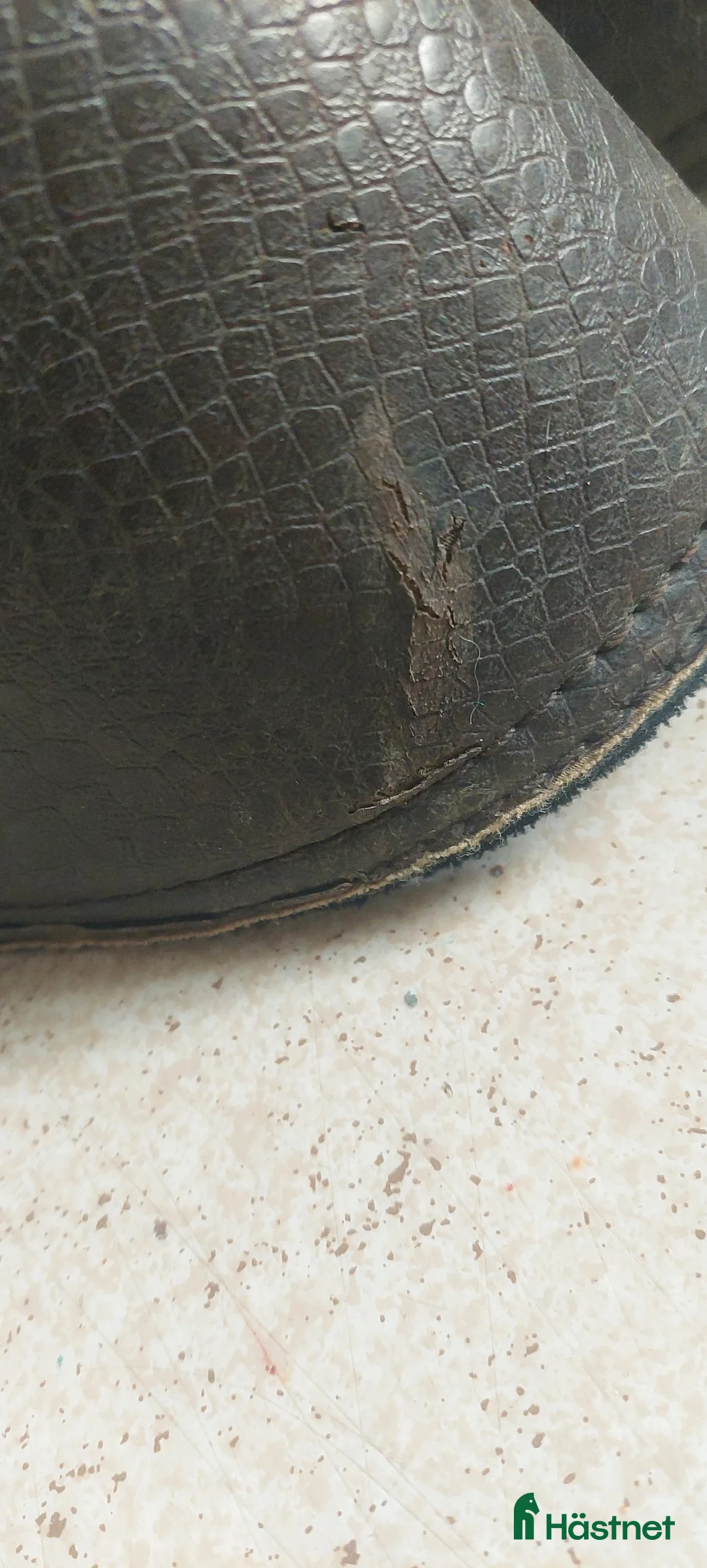 Övrig Hästutrustning hästutrustning till salu: Boots - Annons 2