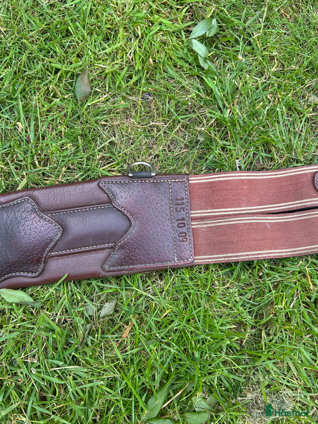 Sadeltillbehör hästutrustning till salu: Magplatta prestige 115 cm - Annons 3