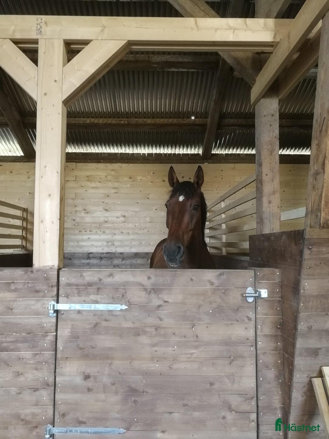  stallplats finnes: Boxplats ledig med fullservice i Fjärdhundra i Fjärdhundra - Annons 1