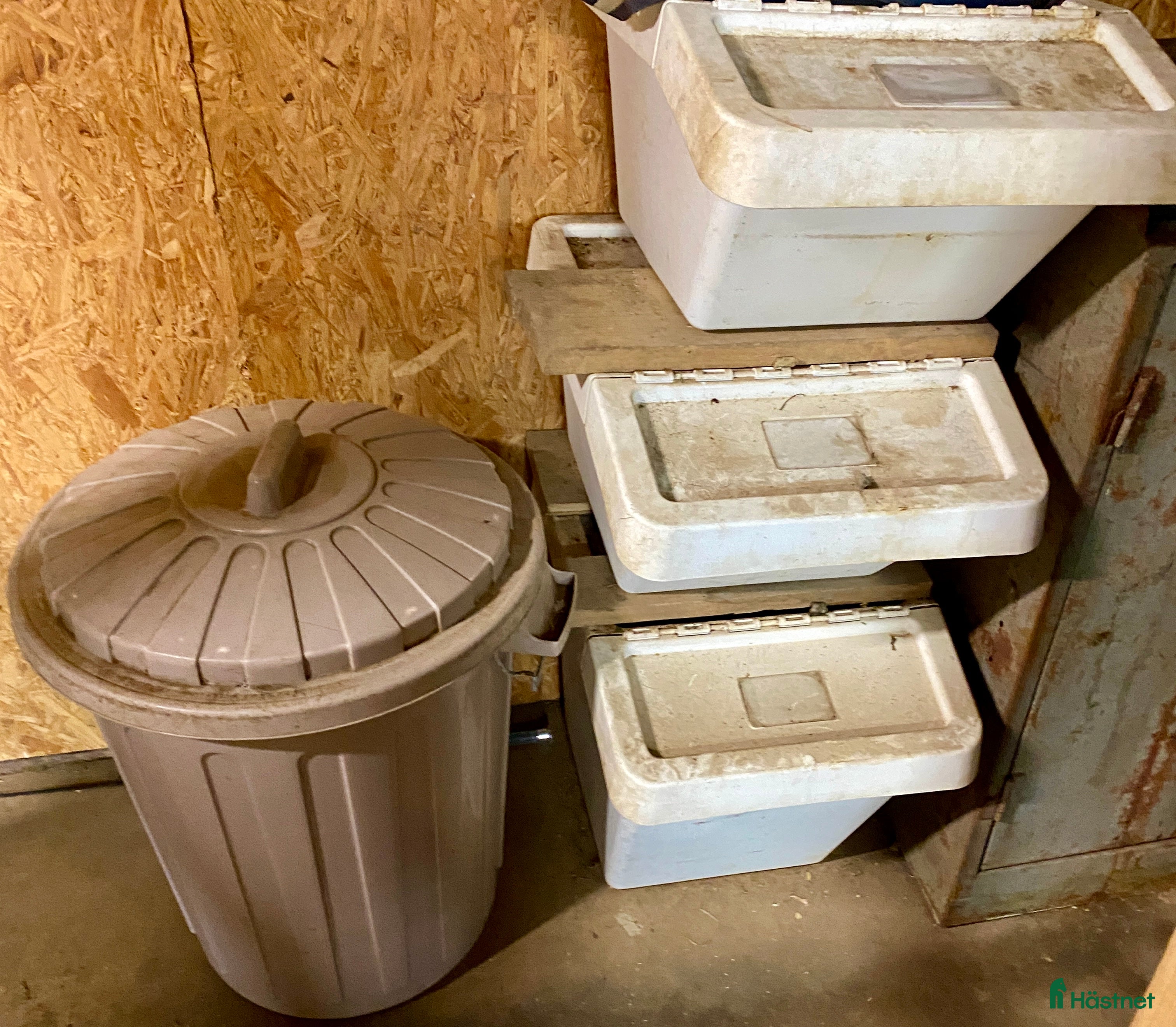 Övrig Hästutrustning hästutrustning till salu: Hästsaker i Halmstad - Annons 4