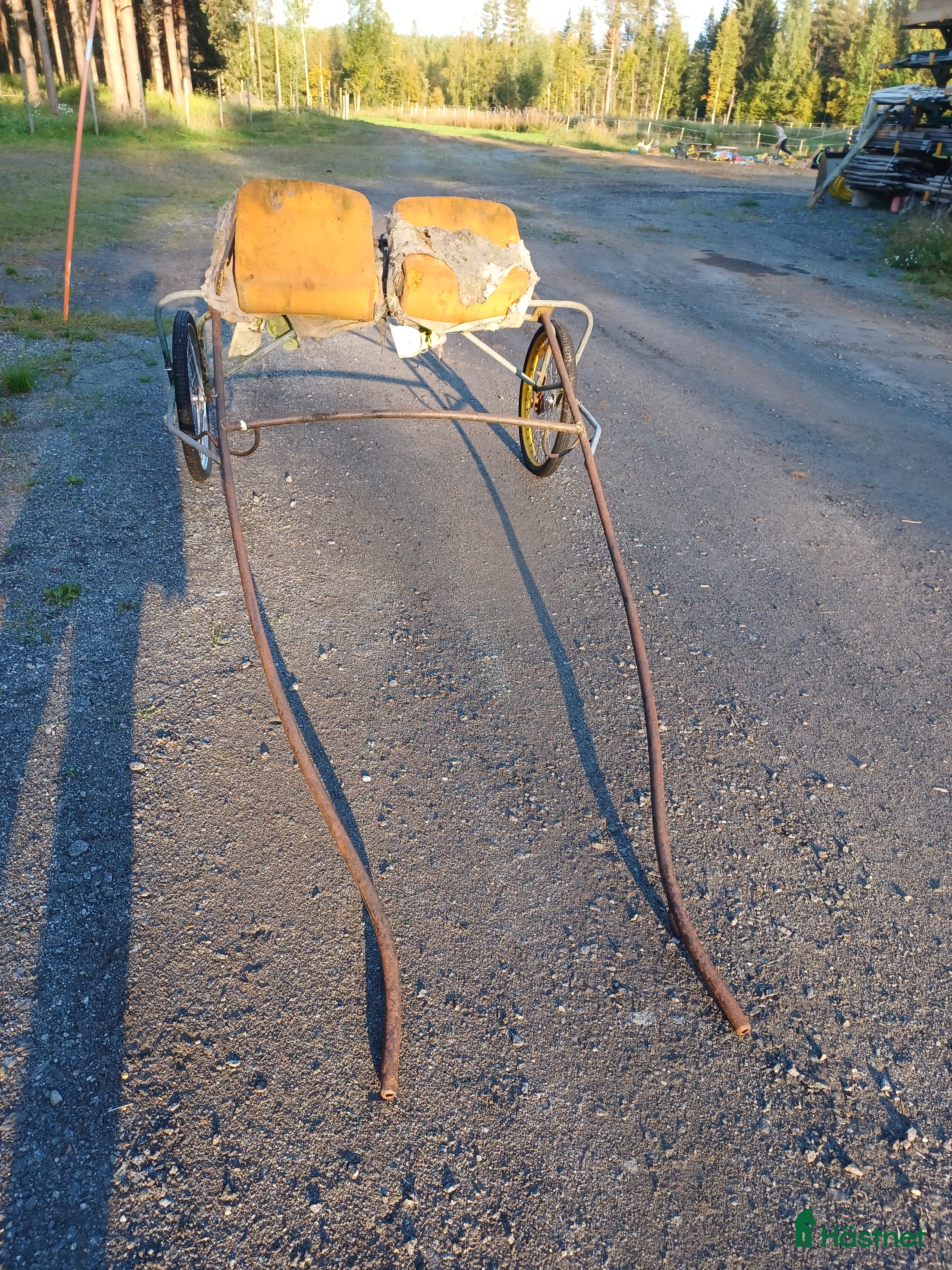 Körvagnar körning till salu: Vagn, projekt i Sävar - Annons 2