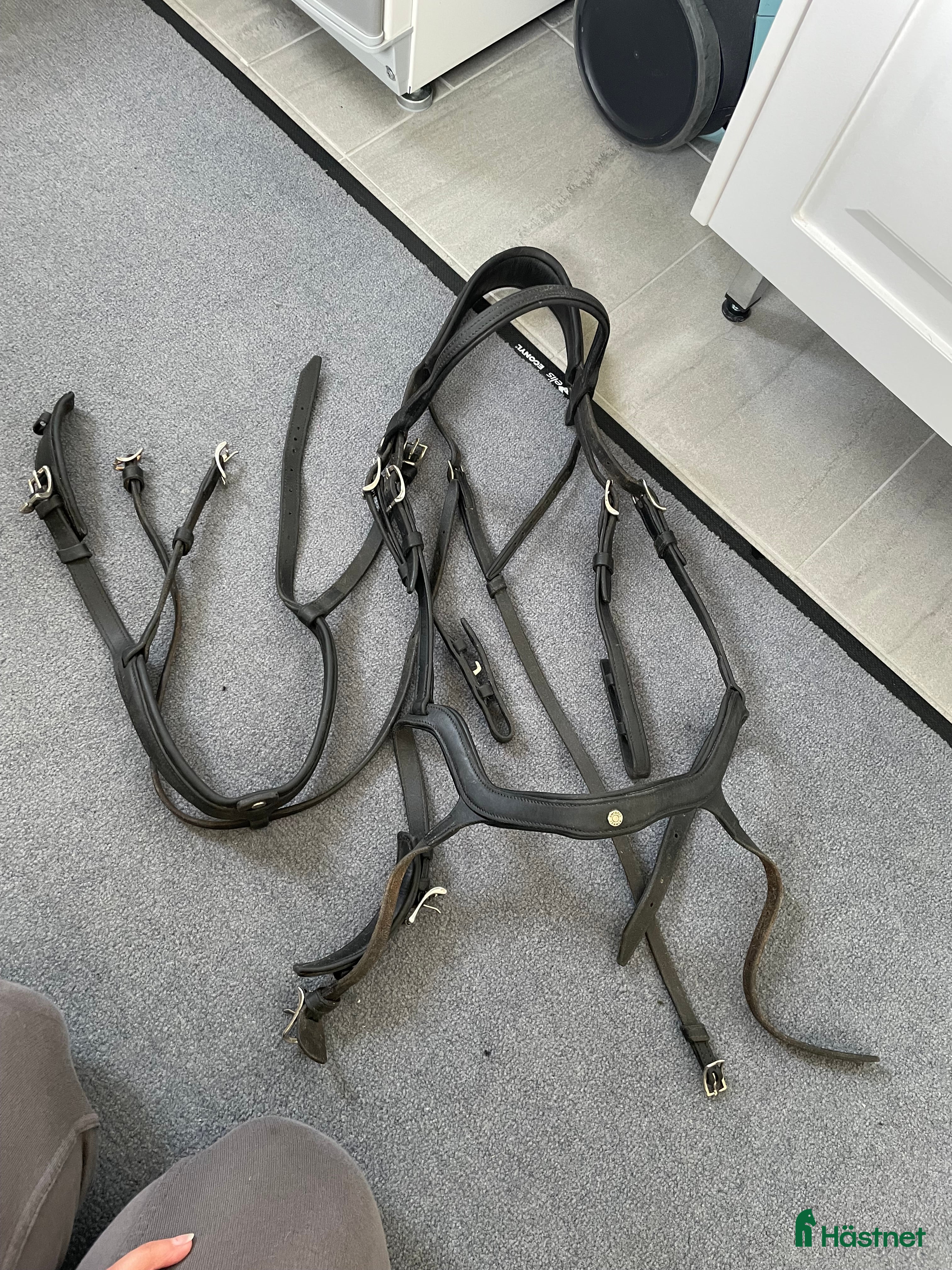 Träns hästutrustning till salu: Svart Antares träns med 2 st nosgrimmor i Västerås - Annons 3