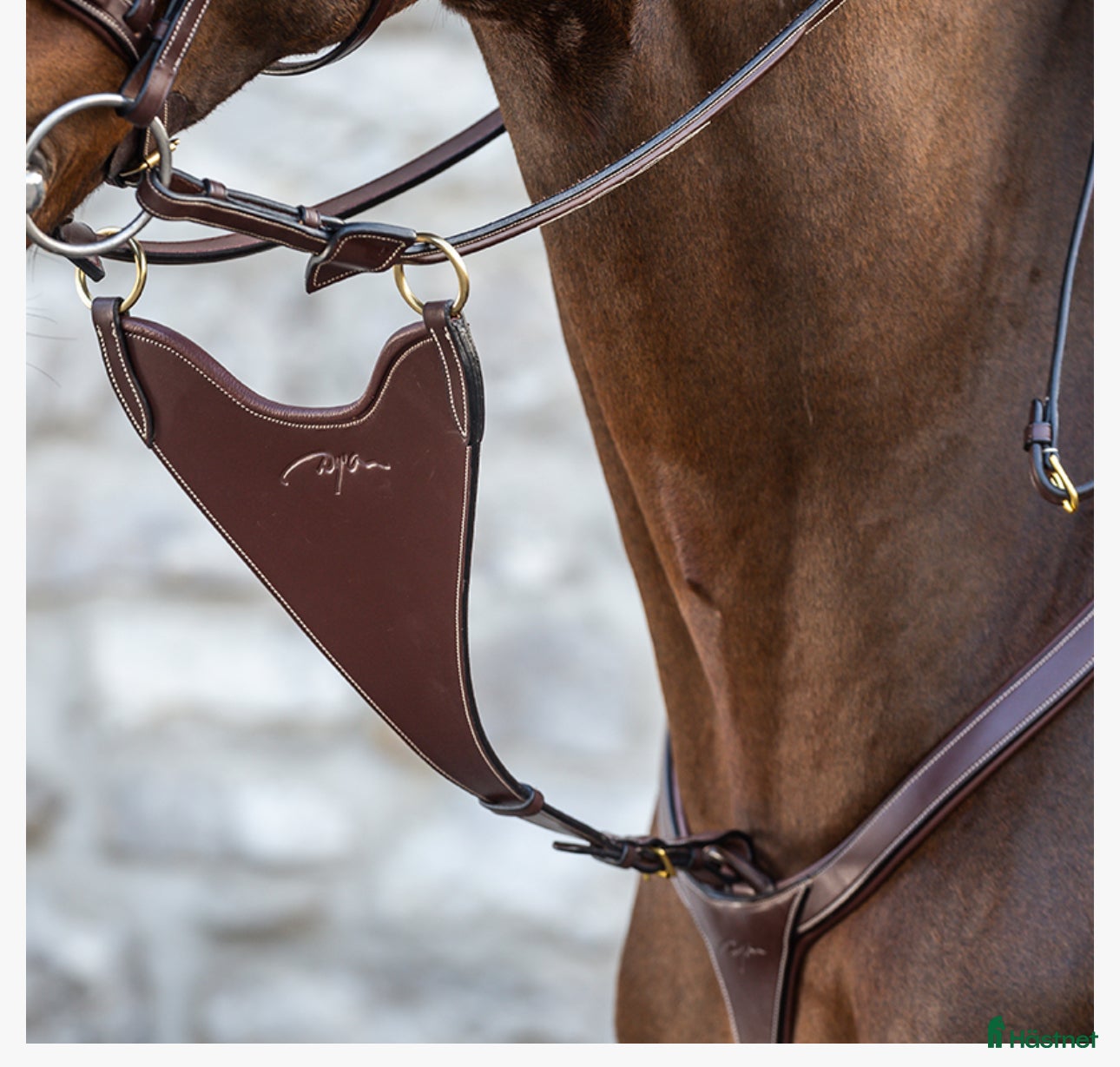 Övrig Hästutrustning hästutrustning till salu: Brun martingal från dyón i fint skick i Stockholm - Annons 2