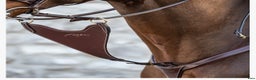 Övrig Hästutrustning hästutrustning till salu: Brun martingal från dyón i fint skick i Stockholm - Annons 1